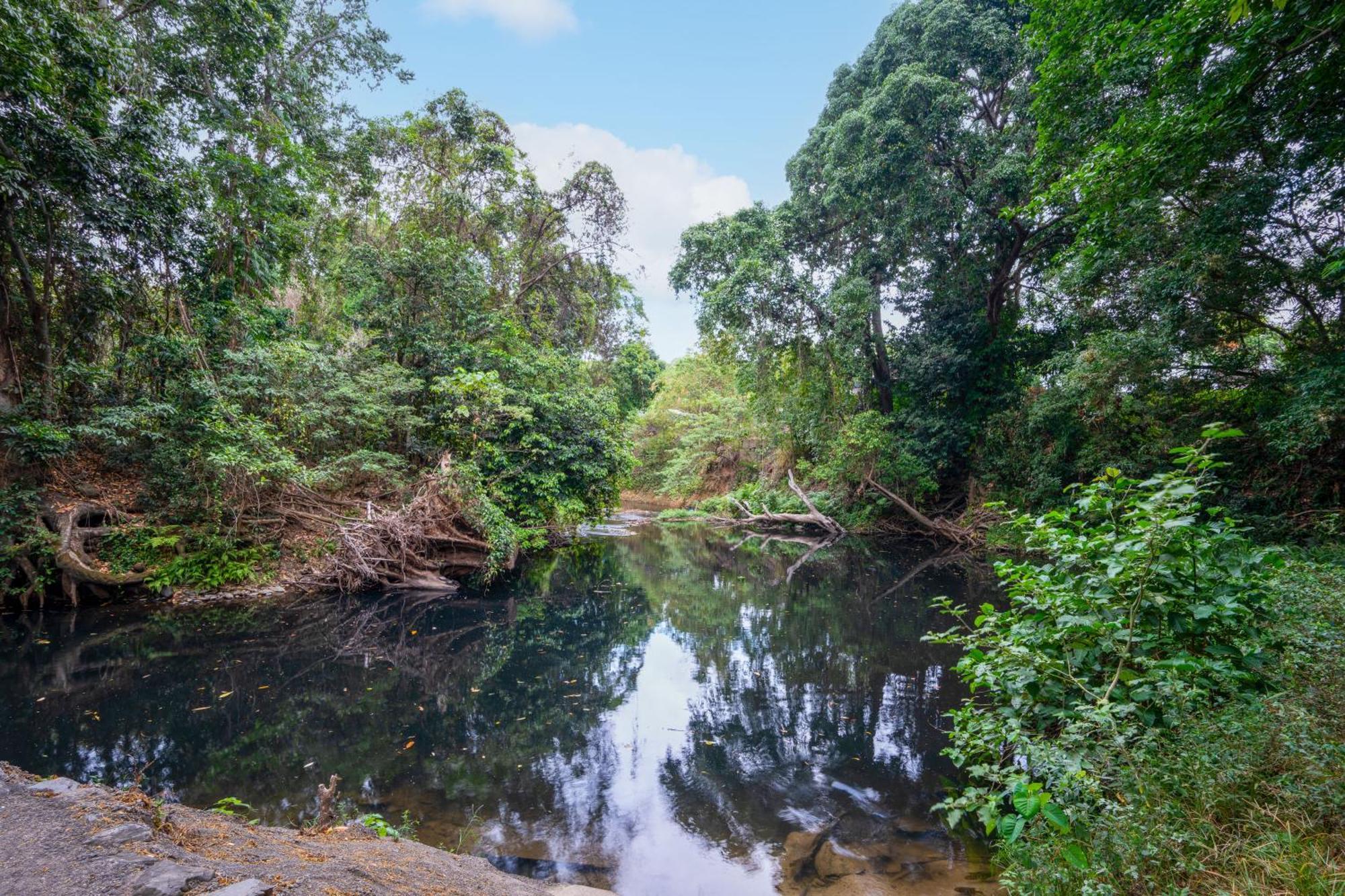 Tasman Holiday Parks - Cairns Cool Waters Экстерьер фото